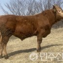 전북특별자치도 축산연구소 이미지