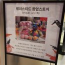 테이스티드 | [내돈내산] 대전 신세계 백화점 테이스티드 팝업스토어 방문 후기 🧸✨