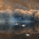 한밤의 기다림 이미지