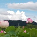 한아름홈쇼핑(주) 이미지