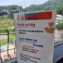 풍천가숯불민물장어