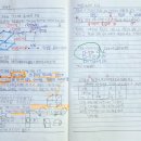 양명초교 이미지