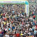 용인시종합운동장 이미지