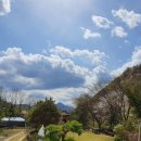 솔바람 힐링하우스 이미지