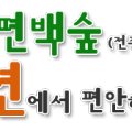 편백숲길 유하팬션 네이버블로그