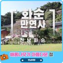 만연사 | [화순] 배롱나무가 아름다운 절, 만연사(10/11)