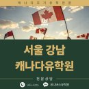 대치동, 압구정 엄마들이 강남유학원추천 할때 유니버스를 꼽는 진짜 이유: 직접 다녀온 후기들