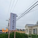 공감공간 | 제주 청춘연가 게하 파티 1부+2부 풀코스 후기 🔥 익명 고민상담 불멍에 새벽 귀가까지?