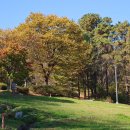 설봉공원 이미지