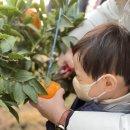 철민농장 이미지