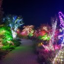 별빛그린하우스 이미지