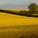 노동중리 이미지