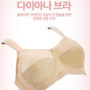 브라이브인 네이버블로그