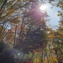 천왕봉식당 이미지