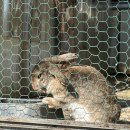 신전목장 이미지