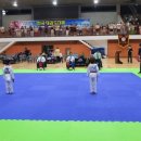 천마 태권도 이미지