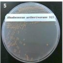 낙동환경개발 이미지