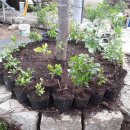 느티나무농원 이미지