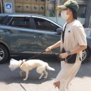 주앤동물병원 이미지