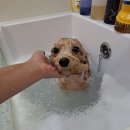 몽스파 연제점 이미지