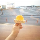 곽지올레 이미지