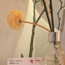 리메디온 이미지