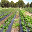 범선농장 이미지