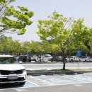 용의발광장 이미지