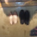 아시아드나이트 | (퍼옴)부산아시아드나이트 후기