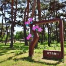 송호파크 이미지