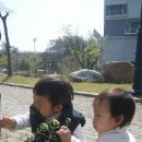 숲속키즈어린이집 이미지