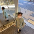 에모씨옹 이미지