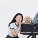 내돈내산 실패 없는 강아지 유모차 추천! 10kg 이하 소형견이라면 '낫쏘빅 토토'가 정답인 이유