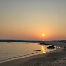 해돋이 - 보성군 남부관광로 2305 | 해돋이