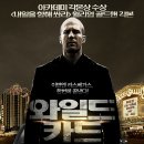 와일드카드