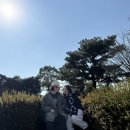 남원읍-31 | [여행일기] 제주 휴애리 겨울 시즌 방문 후기 (1) | 동백꽃 유채꽃 한번에 볼 수 있는 곳