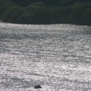 섬진아트홀 앞 이미지