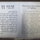 탑동 삼층석탑 Daum카페