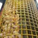 깍두기바비큐 이미지