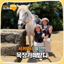 오름조랑 | 제주 목장 카페 밭디 아이랑 무조건 필수 코스