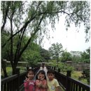 인천 대공원 어린이 동물원 이미지