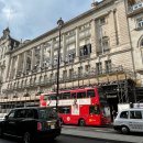 오지7구 | P와 J의 여행계획에 대하여.