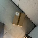 [아디다스] 이지 부스트 350 V2 그래닛 코어 블랙(YEEZY BOOST 350 V2 GRANITE CORE BLACK, HQ2059) 후기