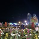 3·15 해양누리공원 게이트볼장 | [여행] 마산가고파국화축제, 가을 바다와 국화향에 취하다!