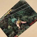 현제농장 | 보홀 육상투어추천 / 현지 개인기사 렌트후기 / 나비농장-로복강-짚라인-초콜렛힐-ATV-ICM몰