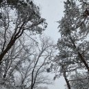 삼가향어 | 조선의 마지막 희망이 과로사하다, 효명세자의 수릉