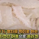 정자참가자미 이미지