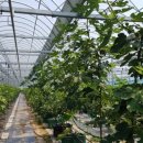 천우농장 2농장 이미지