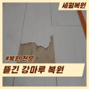 양정퀸즈w에디션 앞 | 부산 뜯긴 떨어진 강마루 보수 수리 메꿈 원상복구 복원 작업