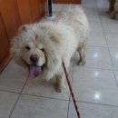 신월동119 이미지